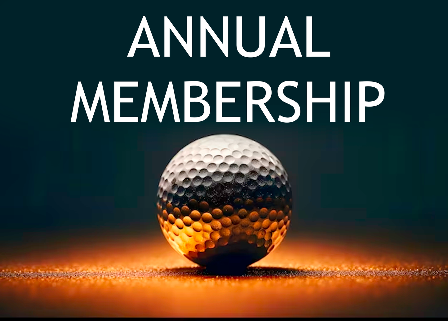 Annual Membership